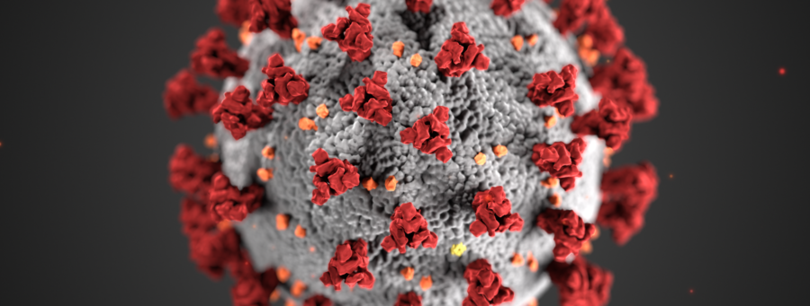 Confianza, Tolerancia, Apoyo y Manejo de la Frustracion