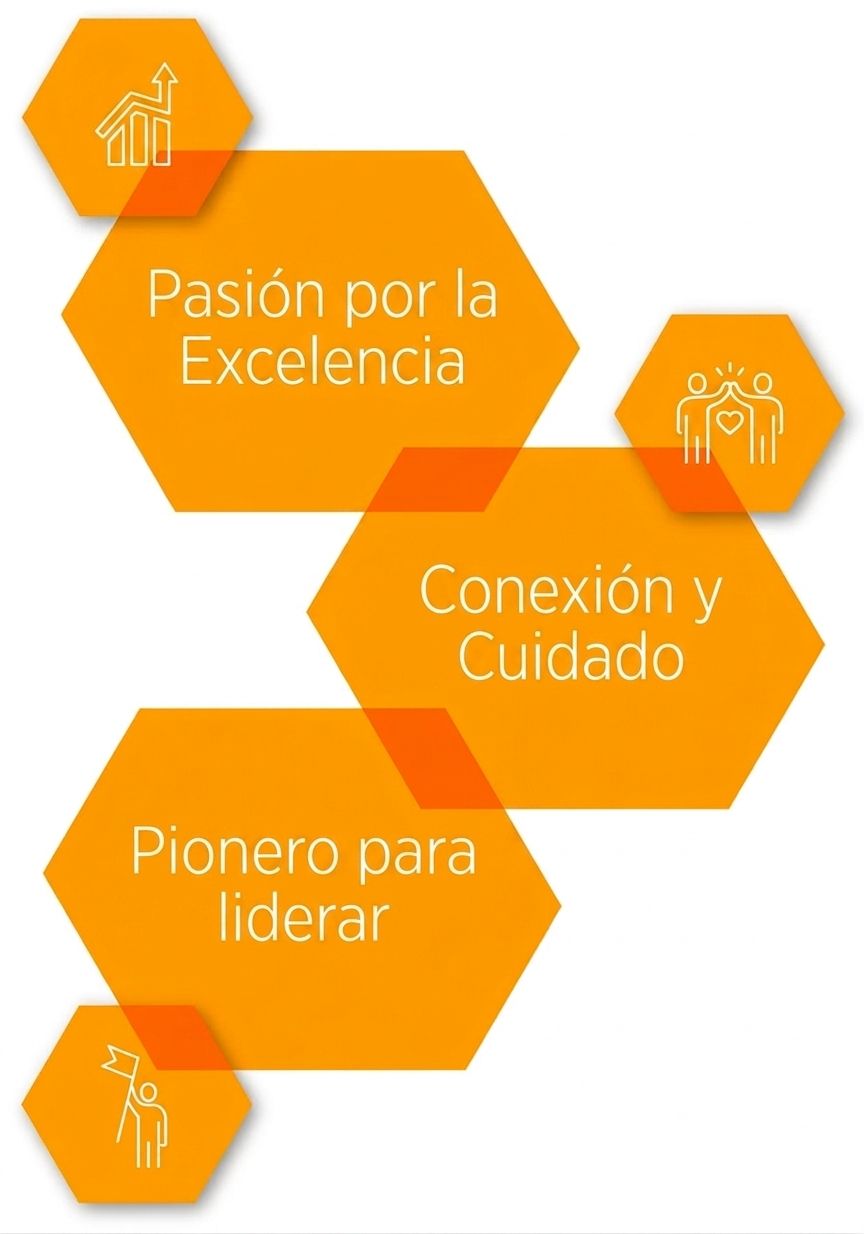 Estudio de Caso: Etex América Latina